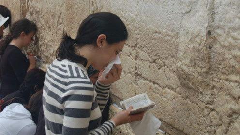 吃瓜翻车娱乐圈