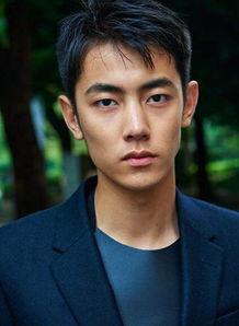 单色凌凌资料,光影交织的艺术世界